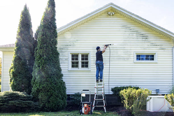 Boat and Dock Cleaning in Frazee, MN